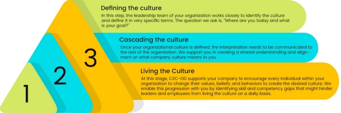 Organizational Culture Transformation